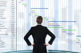 Project Management Services